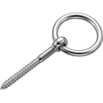 Lag Ring Screw