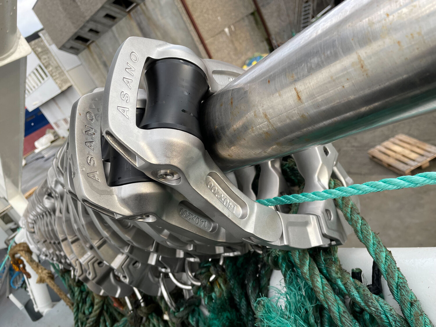 IMG_2897.jpg